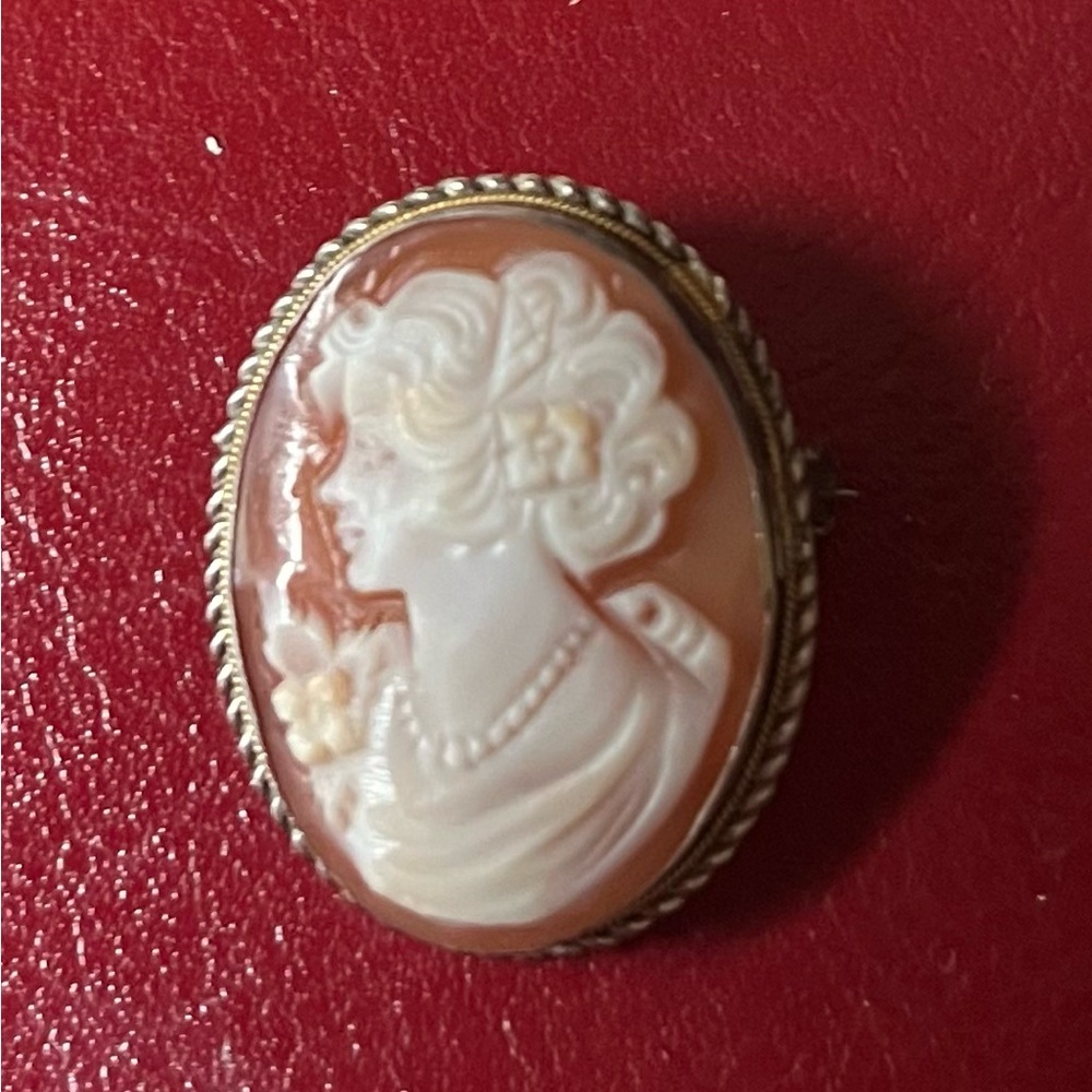 Vintage Cameo Brooch with Gold Detailing